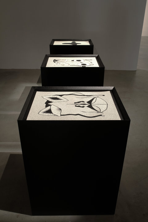 Installation view of three black pedestals in a row in a dark room. The photograph is aimed so that the pedestals are in a vertical row. Each pedestal has a black and white drawing on top of it. Though the drawing is hard to make out on the back two pedestals, the front pedestal features black and white sketches and drawings of abstract female genitalia. 