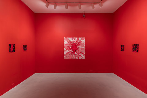 Installation view of the exhibition featuring three bright red walls. On the right side wall, there are two drawings of red vein-like lines against a black background. On the center wall, there is a drawing of an anatomical heart with red veins and lines protruding and emerging from it in all directions against a white background. On the right side there are two more drawings of the red vein-like lines against a black background. 