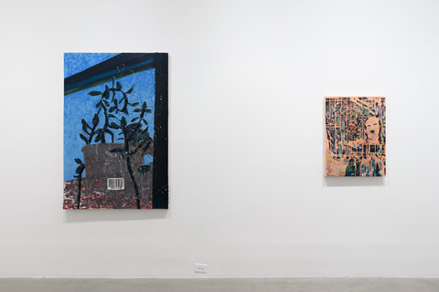 Installation view of two works hung side by side against a white wall in the exhibition space. The work on the left consists of an up close and rough, more abstract painting of a plant against a window. The background of the painting is blue. A barcode is on the grey pot of the plant which seems to just be a shadow against the window light. On the right side of the wall, an image of a person wearing a ski mask is painted against a decorative iron fence. The painting seems textured and only uses pink, green, yellow, and black hues.  