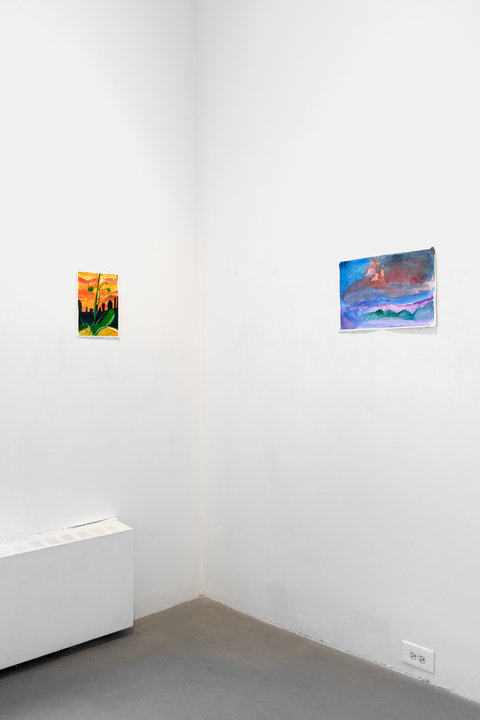 Installation image of two walls in the exhibition. On the left wall, a small painting of a green plant with a stem and leaves. There is an orange and yellow sky in the background with a black city scape. The flower sits on an orange circular patch of land in the foreground. On the right wall, there is a painting that suggests an erupting volcano. The volcano is surrounded by blue, purple, and green, lines, softly blended. 