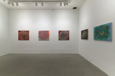 Installation of several works in the exhibition hanging on two white walls. Each work is slightly illuminated by white spotlight. On the back wall, there are three paintings, hung evenly apart. The paintings are abstract and organic with color and shape. On the left wall, two more paintings of similar ideas are hung on the white wall- also slightly illuminate with white light.  