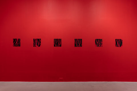 Installation view of the exhibition. The wall is bright red and a series of six drawings are hung in a row, evenly spaced out along the wall. The drawings feature a black background with various red lines that resemble branches and veins over the background. 