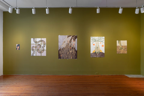 Installation view of the exhibition featuring five colored pencil drawings on a dark green wall. The first of five drawings features a small hand that seems to be covering a face. Behind the hand is black, shiny hair. The next drawing features three by three squares of paper. Throughout the paper, and broken up by the breaks in the paper, is a long, green, winding stripe. The next drawing is a clump of yellow branches with small red florals throughout. It sits against a grey and black background. The fourth image presents a tree and its roots diving into the dark, brown and grey earth. The trees yellow roots move upward through the green trunk and explode into green branches. The tree sits against a white background with orange and yellow orbs. 