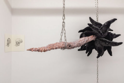 Installation image of a hanging sculpture in the exhibition. On the right hand side, a sculpture hangs from metal chains from the ceiling. The sculpture consists of a broom-like object that has a bulbous head of black tentacles on the right and the "broom handle" consists of a long, pink with a pointed end. On the left, a drawing of a skull is folded into the corner of the wall. A skull is drawn on either side of the corner. 