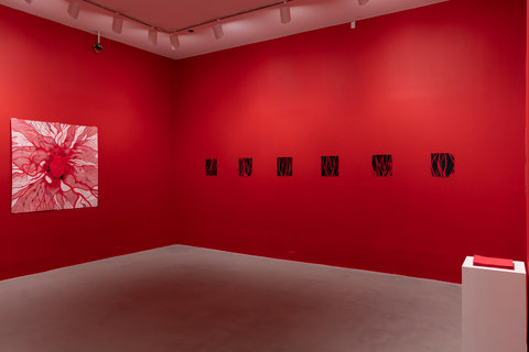 Installation view of the exhibition. The walls are painted bright red and on the left wall, there is a drawing of a anatomical heart. It has veins emerging from every side and thin red lines protruding from the heart all around the paper's white background. The drawing is made with various shades and pressures of red pencil. On the right wall is a series of six drawings. Each drawing features a black background with branch and vein like red lines crossing over the paper. The red of the drawing is the same red as on the walls. In the foreground, off to the right is a white pedestal with a red stack of paper cards on top of it about five by seven inches big. 