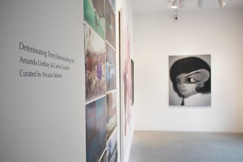 Installation image from the gallery entrance viewpoint. The left side wall is angled away from the camera, obstructing a clear view of the wall's contents. On the back wall, a black and white painting of a figure is mounted to a white wall. The figure has dark black hair, and a large eyeball out of proportion to the rest of its face. The figure is smooth and a bit blurry.  