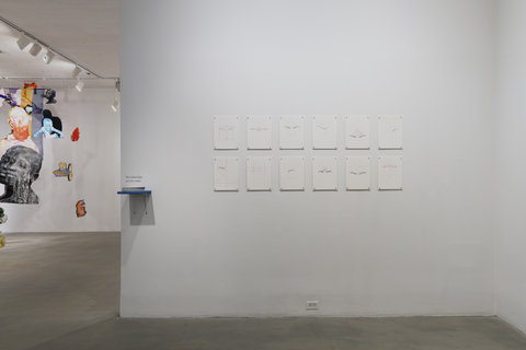 Pictured is the dividing wall between two galleries across from the camera and part of the gallery behind the dividing wall. On the white dividing wall is twelve drawings hung in two rows of six that depict drawings of eyebrows. On the edge of the dividing wall is a small shelf holding stickers of the eyebrows drawn on the sheets of paper. On the left of the shot we see the edge of a hanging installation that is in the gallery behind this dividing wall. 