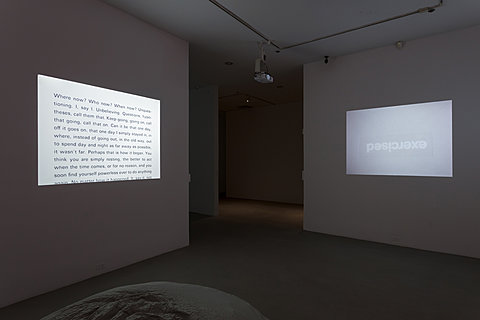 In a dim lit room two images are projected onto walls across from each other. On the left, the image is of black and white text. On the right is a projection of the word "exercised" upside down.
