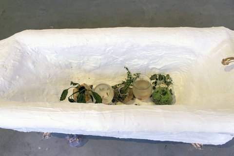 Installation view of the exhibition featuring a bathtub in the center of the gallery. From this view, there are several objects inside the paper mache bathtub including various plants and vases. 