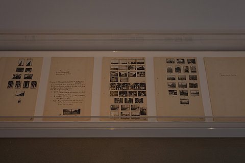 In a glass case there is multiple warm toned sheets of paper side by side. On the paper is hand written notes and small images.
