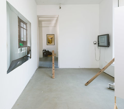 Installation view of the exhibition that features several photographs and sculptures. On the left, a photograph is mounted into a standing wood frame. The photograph consists of a window with a plant on the sill. The green leaves are very bright. On the back, right wall, an image of a window with a green plant on the sill and a mirror on the floor is hung on to the wall. 