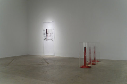 Installation view of the exhibition featuring a dimly lit room with a white sheet hanging in the corner, lit up by a white spotlight. The sheet has abstract lines of black and a smears of dark grays. On the right side of the room, plastic tubes sit with small red poles on red bases stand within the tubes. 