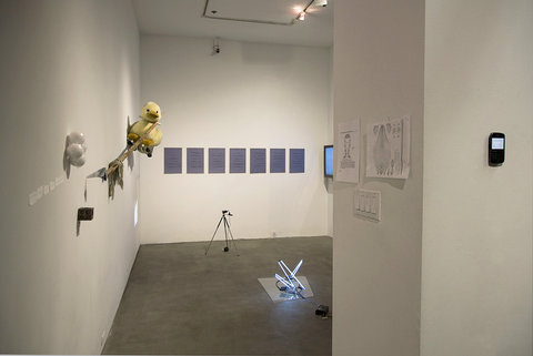 Installation view of the project space. The camera captures through the doorway into the gallery. Mounted on the left wall is a yellow, plush duck sitting on a branch. In front of the duck on the wall, is a group of white orbs. Behind the duck, on the far back wall, is a series of papers mounted on the wall in a row of seven. There are words on each paper, but the camera did not capture the words clearly. On the floor of the gallery is a tripod just below the papers on the wall. In the center, on the floor of the gallery is a neon light installation sitting on a clear rectangle. The neon is blue and two longer beams sit across from two much shorter beams of neon. 