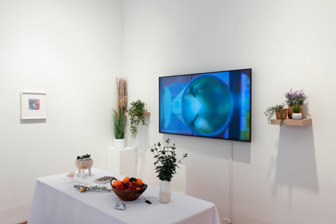 Close up image of a section of the installation featuring a table with a white table cloth, plants, a fruit basket, and books. Behind the table, a tv monitor is mounted on the wall. On either side of the TV monitor screen are shelves with various plants. 