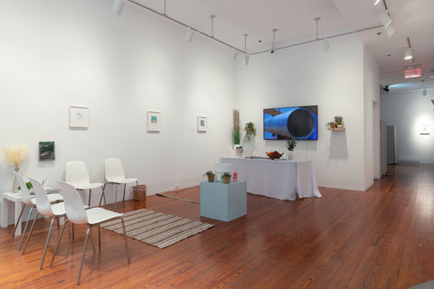 Installation view of the exhibition featuring a waiting room set up complete with chairs, a rug on the wood floor, a table with plants and magazines, a pedestal with a bucket, a table with a white table cloth, a basket of fruit, several framed images on the wall, and a tv monitor. 