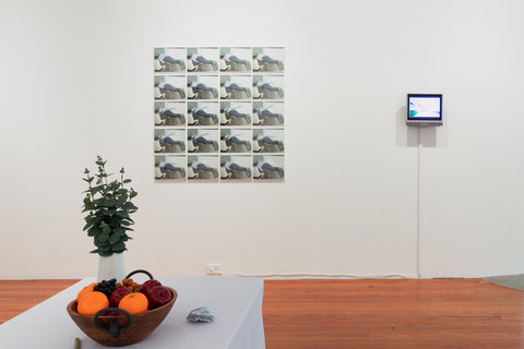 Installation view of the exhibition featuring a table with a white table cloth. On top of the table sits a fruit basket and a plant. In the background, twenty of the same image are arranged in a 4 by 5 rectangle on the wall. On the right of this assemblage, is a small tv monitor. 