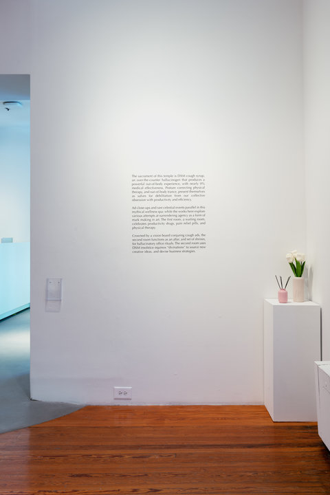 Installation image of text on the wall in the exhibition. It is illegible from the camera view. On the right a white pedestal stands on the ground with two pink vases. The smaller, darker pink vase of the two holds what seems to be a few black rods. The lighter and larger pink vase, holds white flowers with green stems and leaves. 