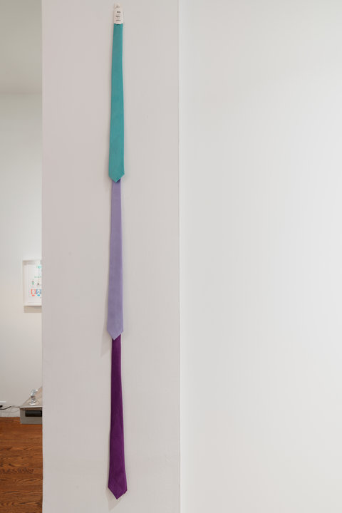 Image of three ties hanging vertically above one another on a white wall. From top to bottom, a teal tie, a light purple tie, and a dark purple tie are hung in a row. 