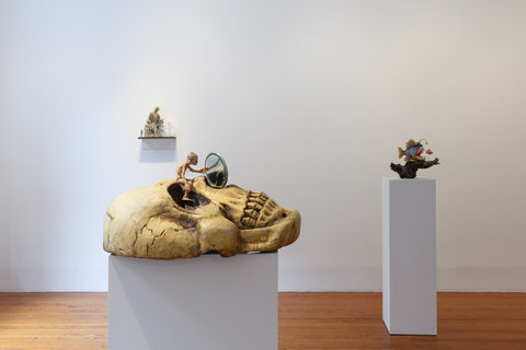 Installation view featuring three objects. In the foreground is a large skull laying flat on a pedestal, facing up towards the ceiling. On top of the skull is a small figure of Gollum, a character from Tolkien that is an unclothed, string-haired, scraggly creature. The Gollum figure looks into a large circular mirror on top of the skull. In the middle ground, off to the left sitting atop a pedestal is a branch with a fish figurine. The fish's mouth is wide open to show a row of large white teeth. A dangling green bulb hangs in front of its mouth from the top of the fish. In front of the figure is a small clown fish figurine. The scene is from the Pixar movie Nemo. On the back wall, to the right is a shelf with a group of various small figurines.  