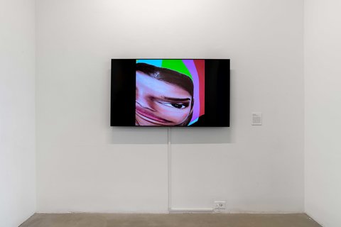 Installation view of one wall in the exhibition featuring a video monitor installed on the wall. The still on the screen from the image consists of a distorted face of a women, with also distorted color stripes in the background.