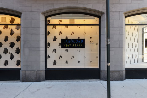 A center view of a window on street level. There is partial view of a the window on the left and the window on the right. Inside the center window display is a black and white spotted background with a small black sign in the center that reads: Landlord rent again. The word landlord is in in blue neon lights. The words rent again are in yellow neon lights.