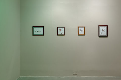 Installation shots of four artworks in the exhibition. The wall is lit with green and pink and white washes. Four framed sketches are hung on the wall in a row. 