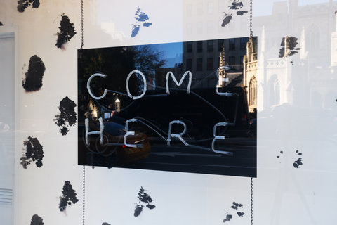 A close up view of the interior of a window display. In the center a black sign with neon blue lights reads: come here. Behind the sign is a black and white spotted background.  