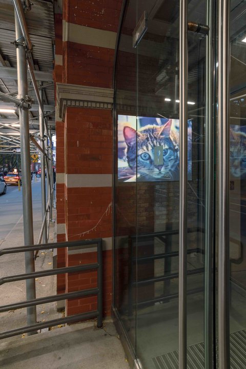 Installation view of the exhibition featuring a snapshot of just before one enters the glass doors of the gallery. From this angle, a still from the projected video in the lobby sits behind the glass door on a brick wall. 
