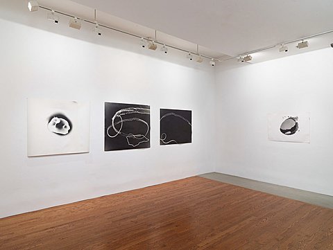 Four images hang on a gallery's wall. Two are white on black-and-two are black-on-white.