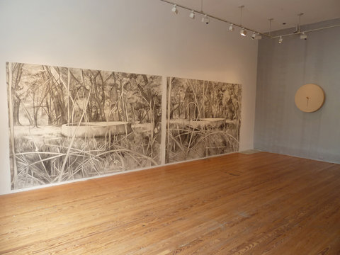 Installation view of two walls in the exhibition. On the left wall, a large mural of ballpoint pen drawings are mounted against the white wall. They span the entire length of the wall. The drawings feature natural landscapes of trees, grass, and forest scenery. On the right wall, towards the background of the image, a round circle made of wood is mounted to a greyish wall. 