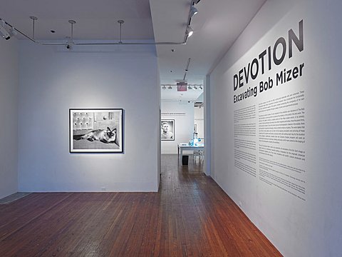 There is a hallway and to the hallway’s left we see the corner of a room. The wooden floor  and corner of the room is empty. On the left perpendicular wall to the hallway there is a framed black and white photograph of a cat laying on a bed. On the right parallel wall to the hallway there is text on the wall that has “DEVOTION” the name of the exhibition, and “Excavating Bob Mizer” the artists whose works is in the exhibition. Following these titles is paragraphs of text that provide a biography for the artist. 