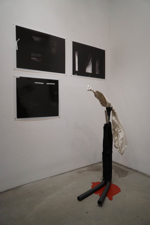 Installation view of the exhibition featuring three black and white photographs that are mostly black hung on the wall in a two by one pattern. In front of the photographs, sits a sculpture made up of a red base, with a black structure resembling a tree branch. On top of the black branch like structure, a white, paper bird is perched. 