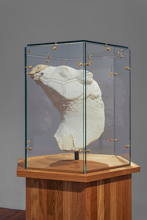 A carved stone fragment of an animal head is displayed on a wooden pedestal, sealed by glass sheets with metal fittings.