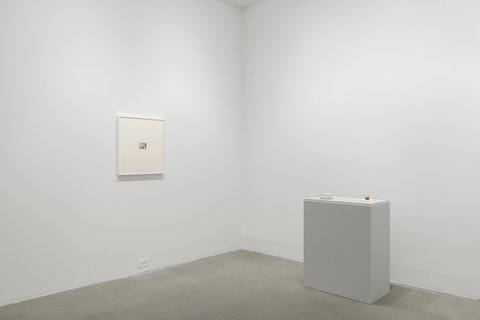 Gallery installation view of two walls and an object on a pedestal. On the left is a white frame with a small image in the center of a young white boy wearing an American Flag durag. On the left, on top of the pedestal sits a small rectangular, foil take out box with plastic lid. Next to it is a sculpture of a napkin with a faux piece of sushi on top of it. 