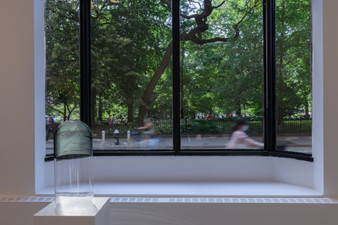 Image of the gallery window inside the gallery space. There is one large window withe four separate panes. From the window view there is lots of green foliage from across the street. 