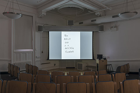 A projection of the hand-written text "the male ego is a delicate flower."